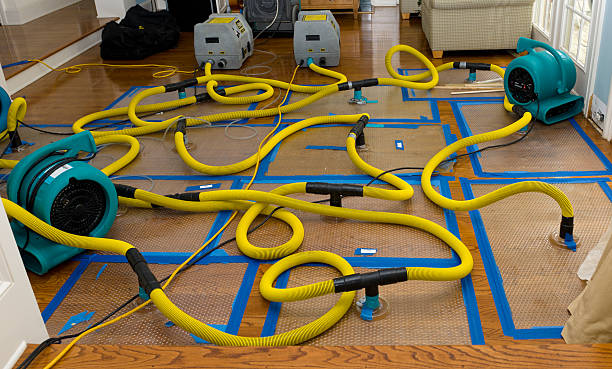 Professional Basement Flood Cleanup technician working in Grimesland, NC